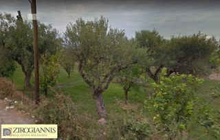Οικόπεδο 5.500 τ.μ. για πώληση, Αχαΐα, Αίγιο-thumb-1