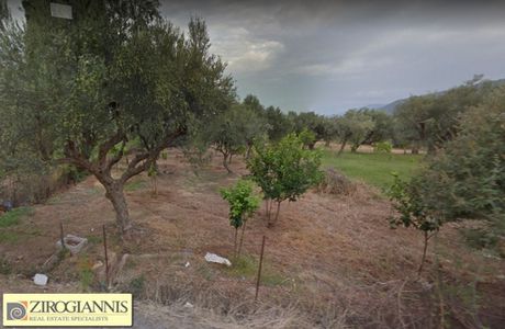 Οικόπεδο 5.500τ.μ. για πώληση-Αίγιο