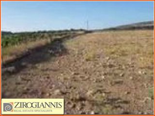 Αγροτεμάχια 8.020 τ.μ. για πώληση