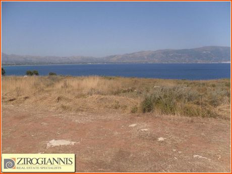 Αγροτεμάχια 17.000 τ.μ. για πώληση