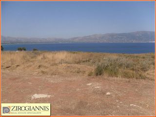 Αγροτεμάχια 17.000 τ.μ. για πώληση