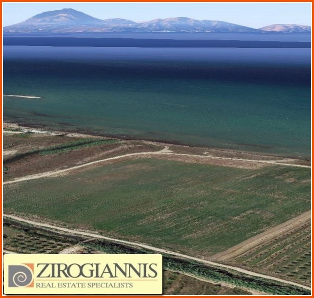 Οικόπεδο 50.000 τ.μ. για πώληση, Ν. Ηλείας, Λεχαινά