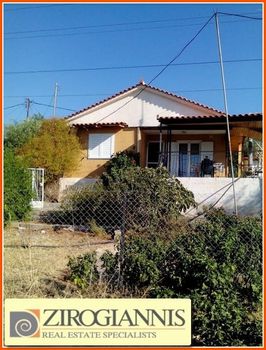 Αγροτεμάχια 6.500τ.μ. για πώληση-Άγιοι θεόδωροι