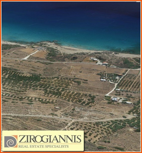 Αγροτεμάχια 13.000 τ.μ. προς πώληση, Χανιά