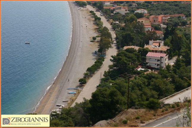 Οικόπεδο 5.034 τ.μ. για πώληση, Αχαΐα, Διακοπτό