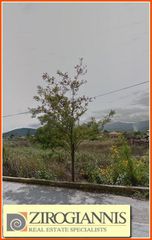 Οικόπεδο 2.950 τ.μ. για πώληση