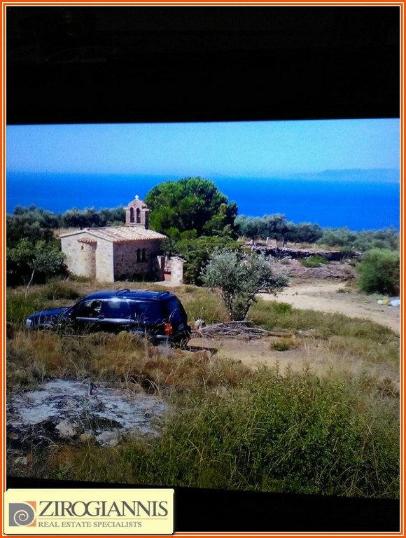 Αγροτεμάχια 12.000 τ.μ. προς πώληση, Ανατολική Μάνη