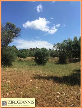 Αγροτεμάχια 5.360 τ.μ. για πώληση