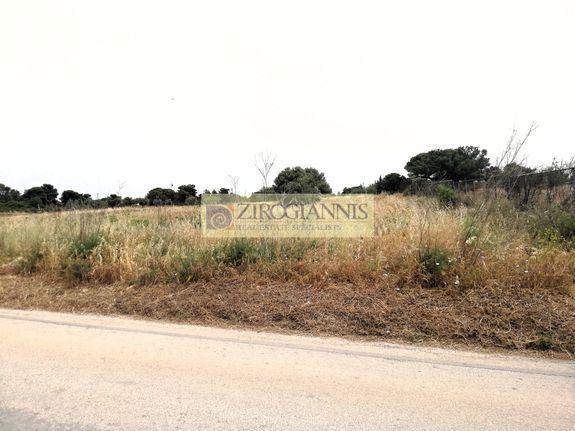 Αγροτεμάχια 7.200 τ.μ. για πώληση, Αττική - Υπόλοιπο, Ραφήνα