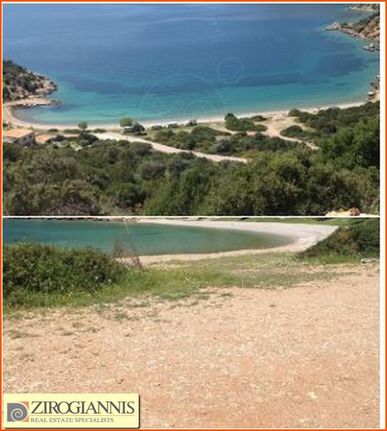 Αγροτεμάχια 5.000 τ.μ. για πώληση, Φωκίδα, Γαλαξίδι