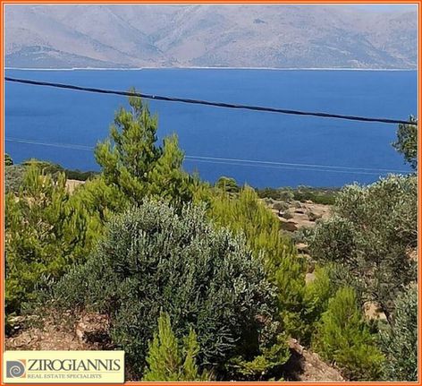 Αγροτεμάχια 7.800 τ.μ. για πώληση, Αθήνα - Ανατολικά Προάστια, Γραμματικό