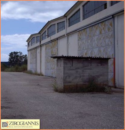 Βιομηχανικός χώρος 4.300 τ.μ. για πώληση, Ν. Ηλείας, Πύργος