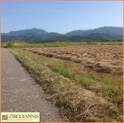 Αγροτεμάχια 15.200 τ.μ. για πώληση, Φωκίδα, Ευπάλιο