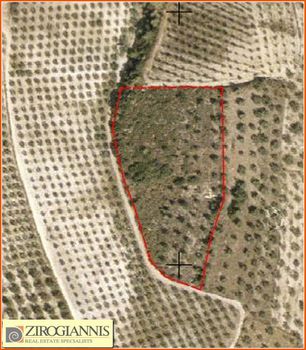 Αγροτεμάχια 10.670τ.μ. για πώληση-Τενέα