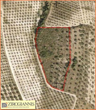 Αγροτεμάχια 10.670 τ.μ. για πώληση, Κορινθία, Τενέα