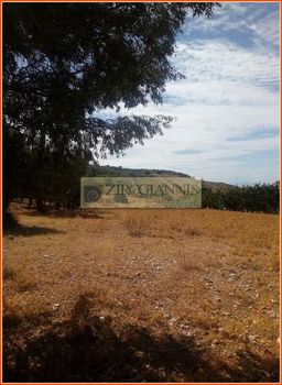 Parcel 7.000sqm for sale-Kalivia Thorikou