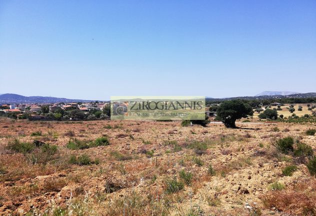 Αγροτεμάχια 16.310 τ.μ. για πώληση, Αττική - Υπόλοιπο, Ραφήνα