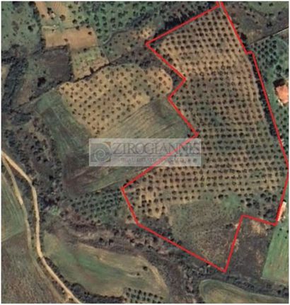 Αγροτεμάχια 27.719 τ.μ. για πώληση, Εύβοια, Κύμη