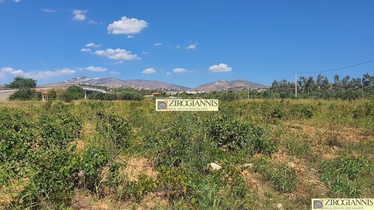 Αγροτεμάχια 4.900 τ.μ. για πώληση, Αθήνα - Ανατολικά Προάστια, Σπάτα