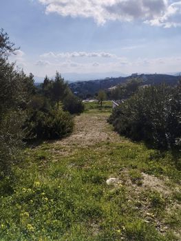 Οικόπεδο 1.400τ.μ. για πώληση-Πικέρμι