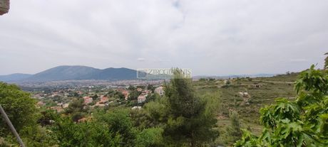 Μονοκατοικία 170τ.μ. για πώληση-Παλλήνη