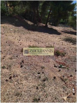 Οικόπεδο 1.000τ.μ. για πώληση-Πικέρμι