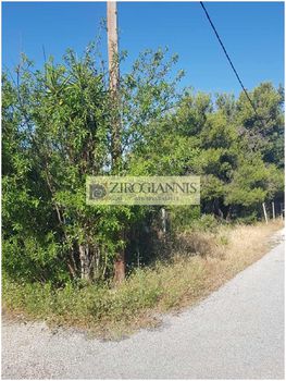 Land plot 700sqm for sale-Anthoisa