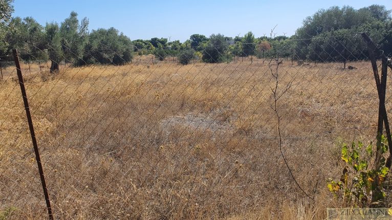 Αγροτεμάχια 900 τ.μ. για πώληση, Αττική - Υπόλοιπο, Μάνδρα