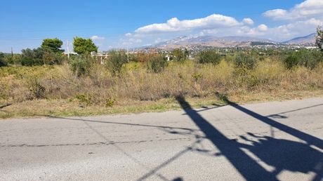 Αγροτεμάχια 7.500 τ.μ. για πώληση
