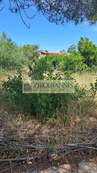 Αγροτεμάχια 1.297τ.μ. για πώληση-Μαραθώνας