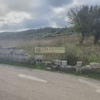 Αγροτεμάχια 20.000 τ.μ. για πώληση