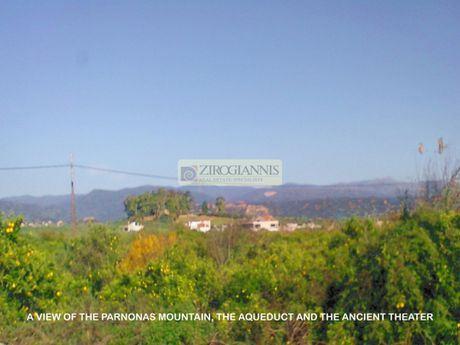 Οικόπεδο 7.200τ.μ. για πώληση-Μαγούλα