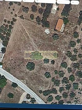 Οικόπεδο 4.010τ.μ. για πώληση-Κορωπί
