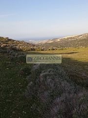 Οικόπεδο 4.012 τ.μ. για πώληση, Κυκλάδες, Πάρος-thumb-5