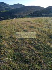 Οικόπεδο 4.012 τ.μ. για πώληση, Κυκλάδες, Πάρος-thumb-10