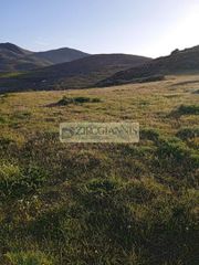 Οικόπεδο 4.012 τ.μ. για πώληση, Κυκλάδες, Πάρος-thumb-9