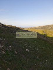 Οικόπεδο 4.012 τ.μ. για πώληση, Κυκλάδες, Πάρος-thumb-2