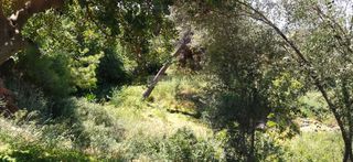 Οικόπεδο 1.000 τ.μ. για πώληση