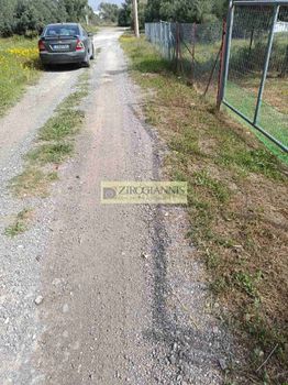 Οικόπεδο 451 τ.μ. για πώληση