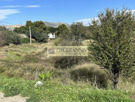 Land plot 3.500sqm for sale-Pikermi