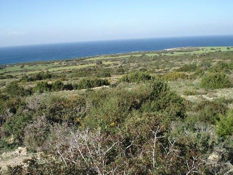 Αγροτεμάχια 24.000τ.μ. για πώληση-