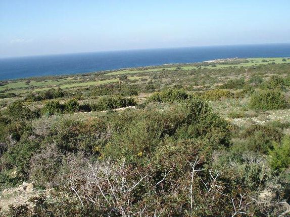 Αγροτεμάχια 24.000 τ.μ. για πώληση, Λεμεσός