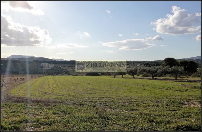 Αγροτεμάχια 5.000 τ.μ. για πώληση, Αττική - Υπόλοιπο, Ραφήνα