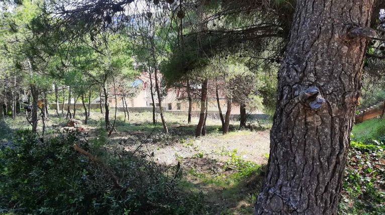 Οικόπεδο 802 τ.μ. για πώληση, Αθήνα - Βόρεια Προάστια, Διόνυσος