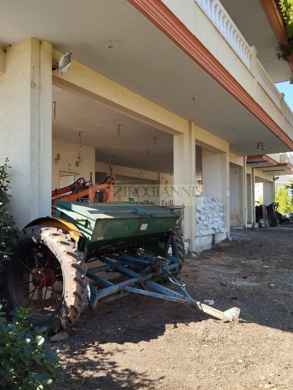 Κατάστημα 170 τ.μ. προς ενοικίαση, Μαραθώνας