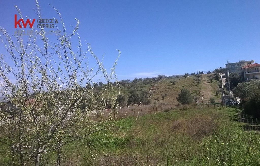 Οικόπεδο 1.092 τ.μ. προς πώληση, Κέντρο Μαρκοπούλου