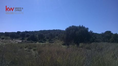 Parcel 1.500sqm for sale-Markopoulo