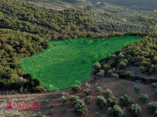 Οικόπεδο 21.500 τ.μ. για πώληση, Μεσσηνία, Αριστομένης-thumb-4