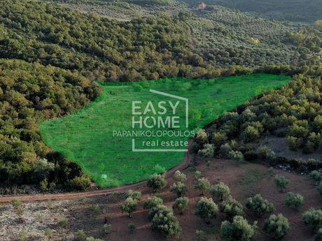Land plot 21.500sqm for sale-Aristomenis