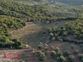 Οικόπεδο 21.500 τ.μ. για πώληση, Μεσσηνία, Αριστομένης-thumb-5